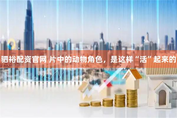 驷裕配资官网 片中的动物角色，是这样“活”起来的