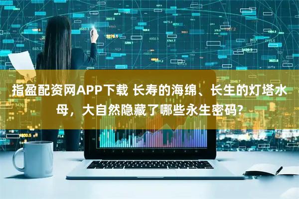 指盈配资网APP下载 长寿的海绵、长生的灯塔水母，大自然隐藏了哪些永生密码?