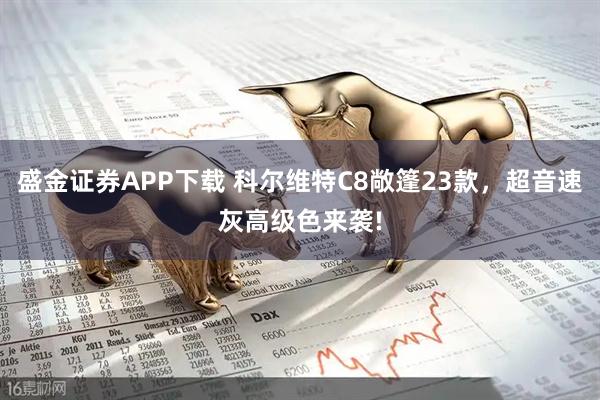 盛金证券APP下载 科尔维特C8敞篷23款，超音速灰高级色来袭!