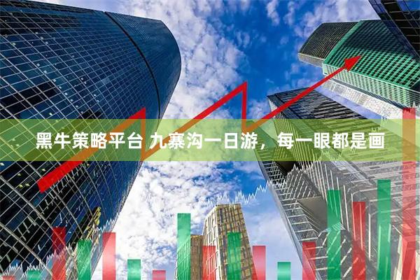 黑牛策略平台 九寨沟一日游，每一眼都是画