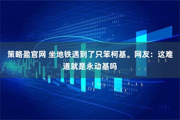 策略盈官网 坐地铁遇到了只笨柯基。网友：这难道就是永动基吗