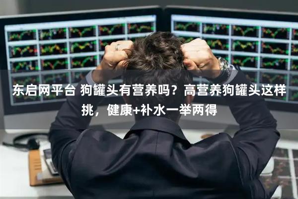 东启网平台 狗罐头有营养吗？高营养狗罐头这样挑，健康+补水一举两得