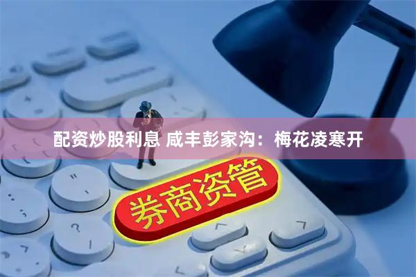 配资炒股利息 咸丰彭家沟：梅花凌寒开