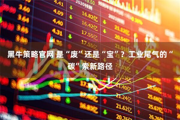 黑牛策略官网 是“废”还是“宝”？工业尾气的“碳”索新路径