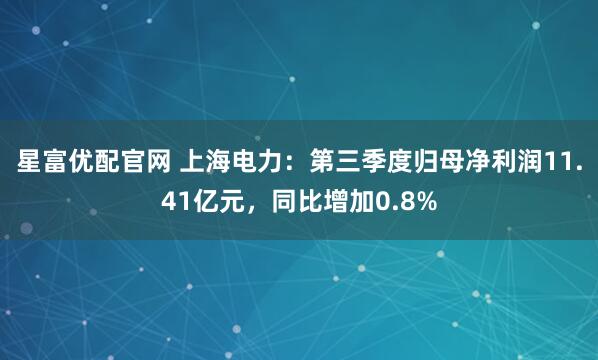星富优配官网 上海电力：第三季度归母净利润11.41亿元，同比增加0.8%
